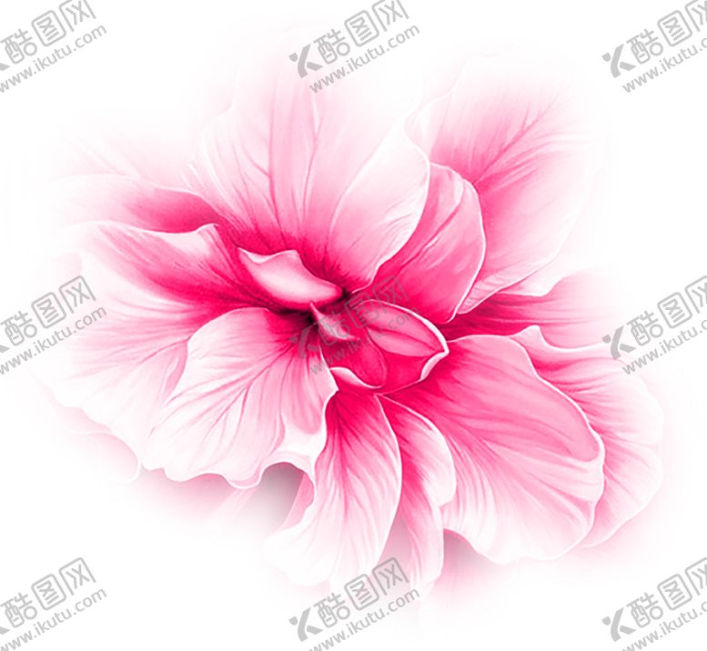 编号：77622309201932028797【酷图网】源文件下载-鲜花装饰