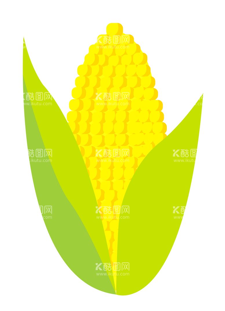 编号：91061911192240253925【酷图网】源文件下载-玉米手绘插画