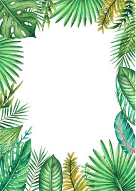 清新水彩植物树叶插画