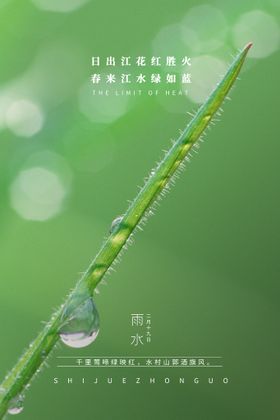 雨水节气海报