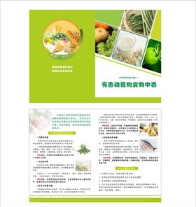 有毒动植物食物中毒折页