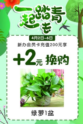 踏青活动