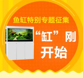 过滤石水族用品海报banner