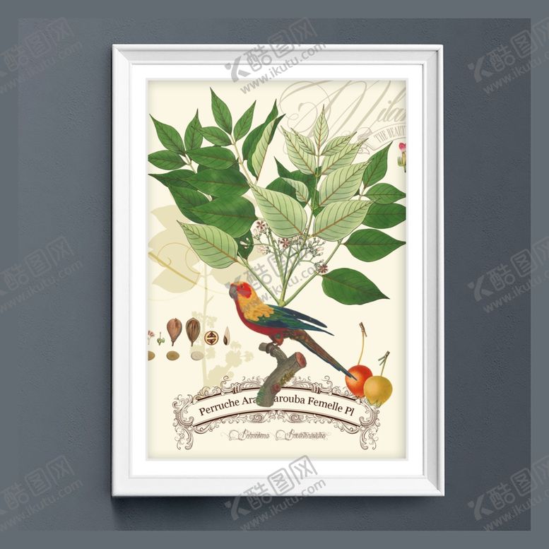 编号：29068310091704017403【酷图网】源文件下载-美式田园鹦鹉树叶装饰画