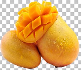 芒果