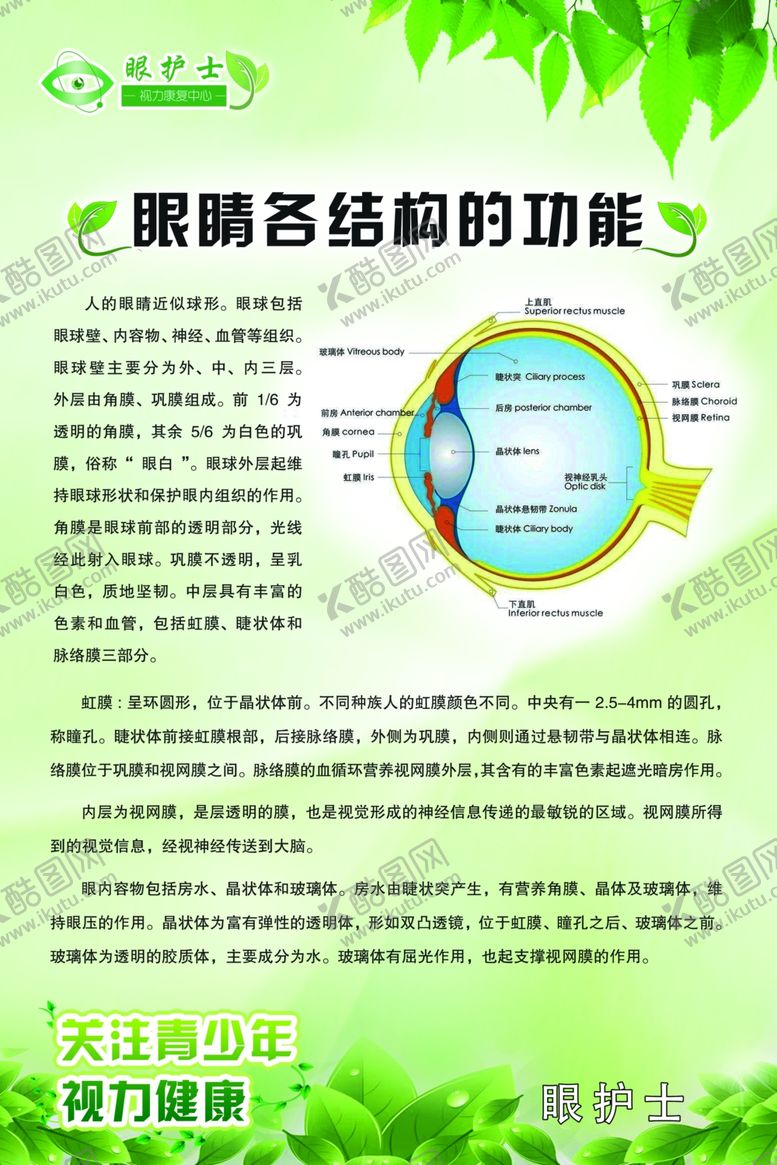 编号：61471710061239249974【酷图网】源文件下载-眼护士眼睛各结构的功能制度