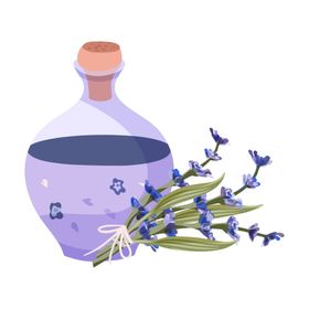 绿色家庭植物
