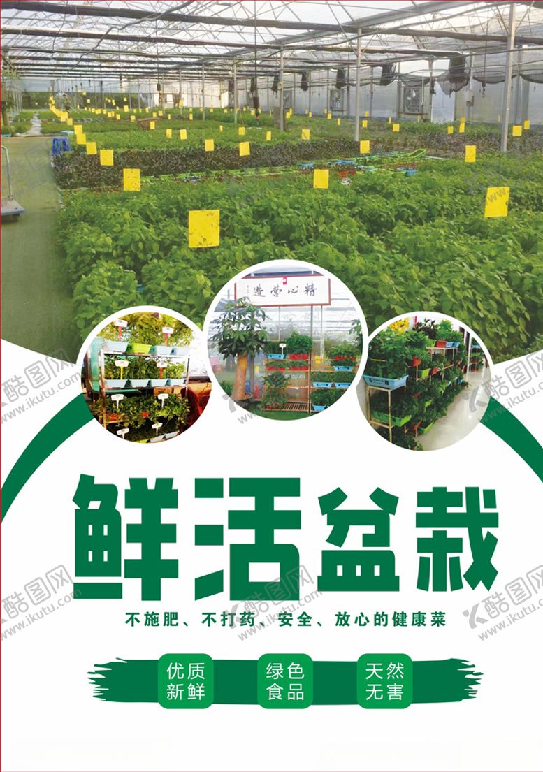 编号：51015807011847159927【酷图网】源文件下载-盆栽菜有机蔬菜