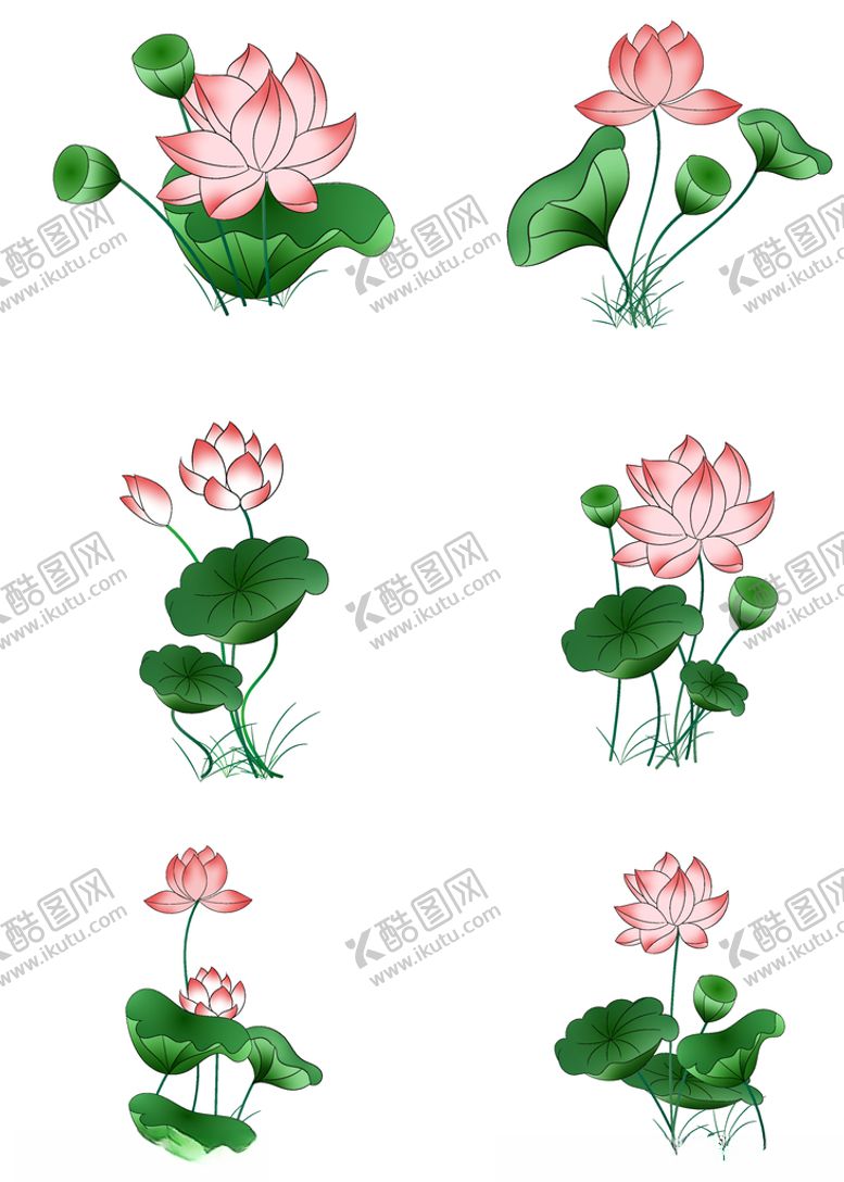 编号：30525905131323065312【酷图网】源文件下载-清新荷花夏季植物元素