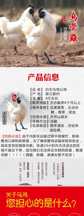 五黑鸡白毛乌骨鸡土鸡土鸡蛋