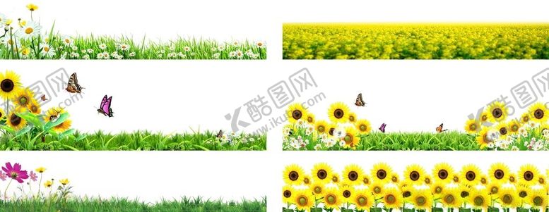 编号：98245301251232401802【酷图网】源文件下载-免扣花草