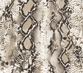 蛇皮纹理图案