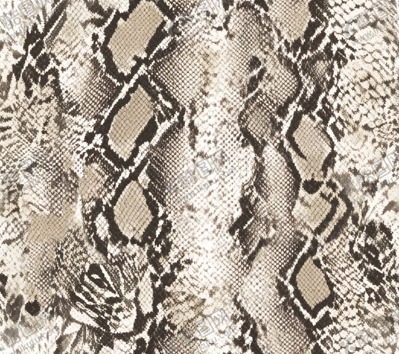 编号：22323004040359244105【酷图网】源文件下载-蛇皮纹理图案