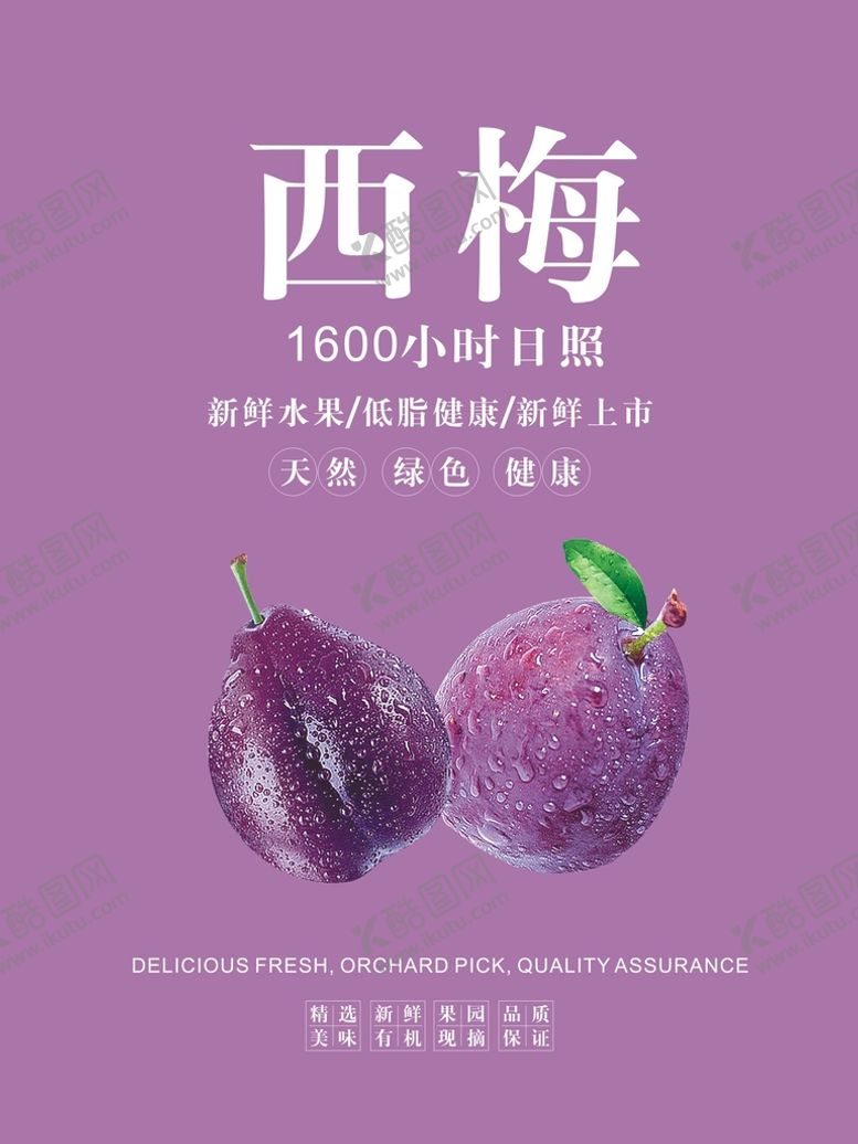 编号：20022710190011186007【酷图网】源文件下载-西梅海报