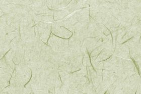 传统工笔画宣纸子桑花卉背景