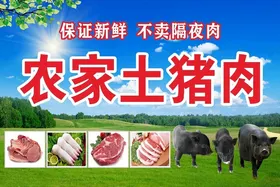 农家土猪肉