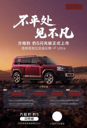 豹5闪充版车型单页正面