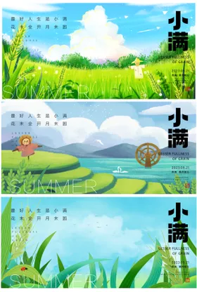 小满节气麦穗麦子稻田