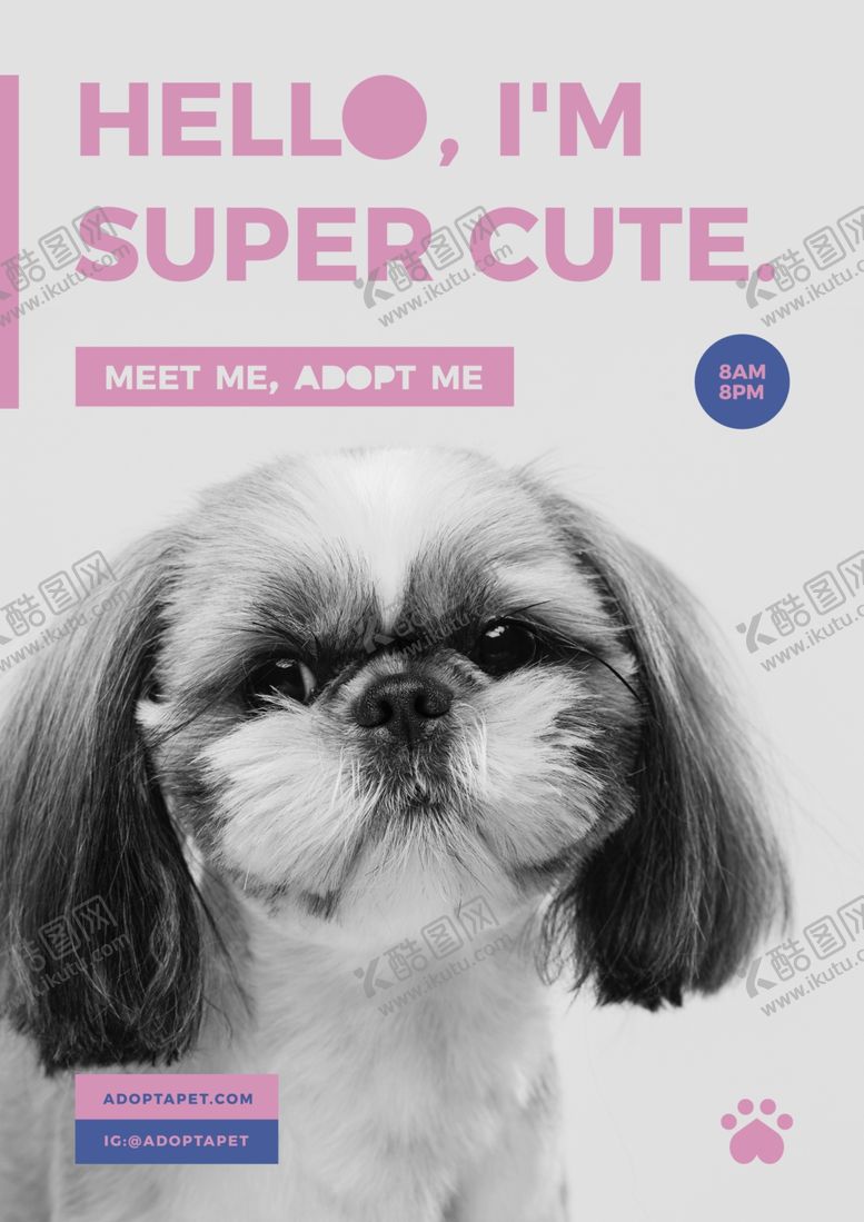 编号：47259709232123557848【酷图网】源文件下载-宠物海报