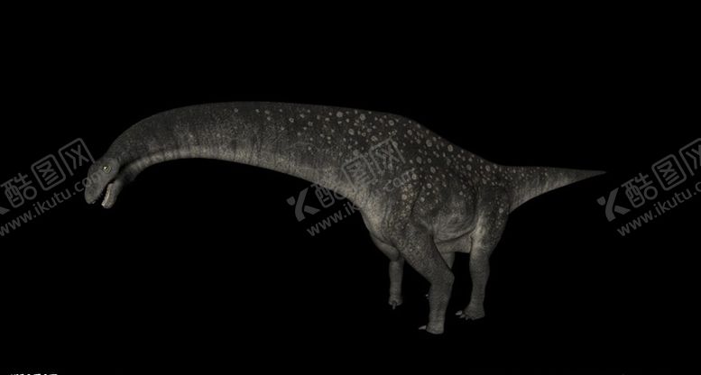 编号：98226606250600453164【酷图网】源文件下载-C4D恐龙模型