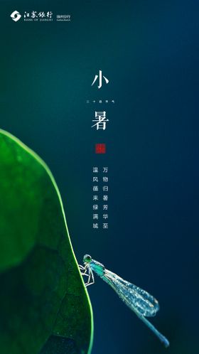 小暑节气