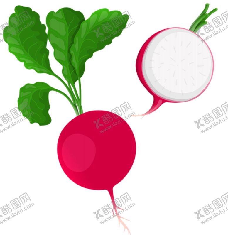 编号：87266306251052026256【酷图网】源文件下载-萝卜