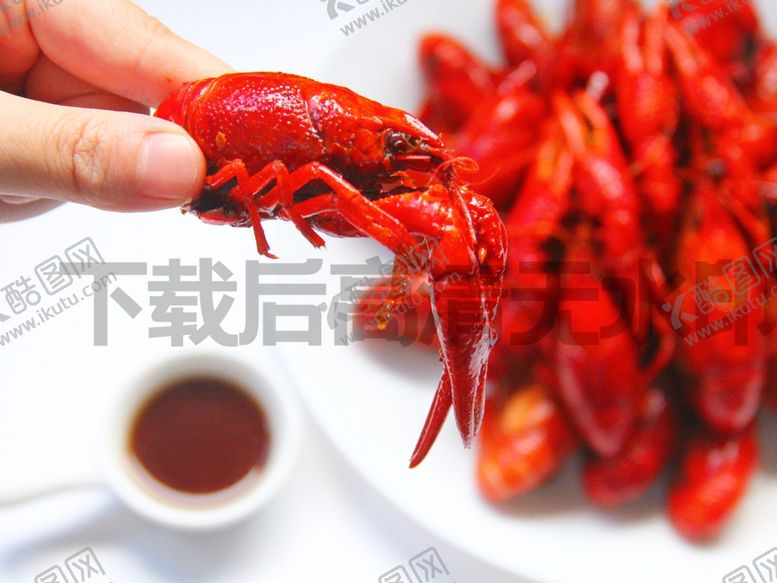 编号：59578205152134329651【酷图网】源文件下载-小龙虾
