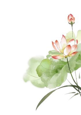 荷花元素鲜材手绘叶材鲜
