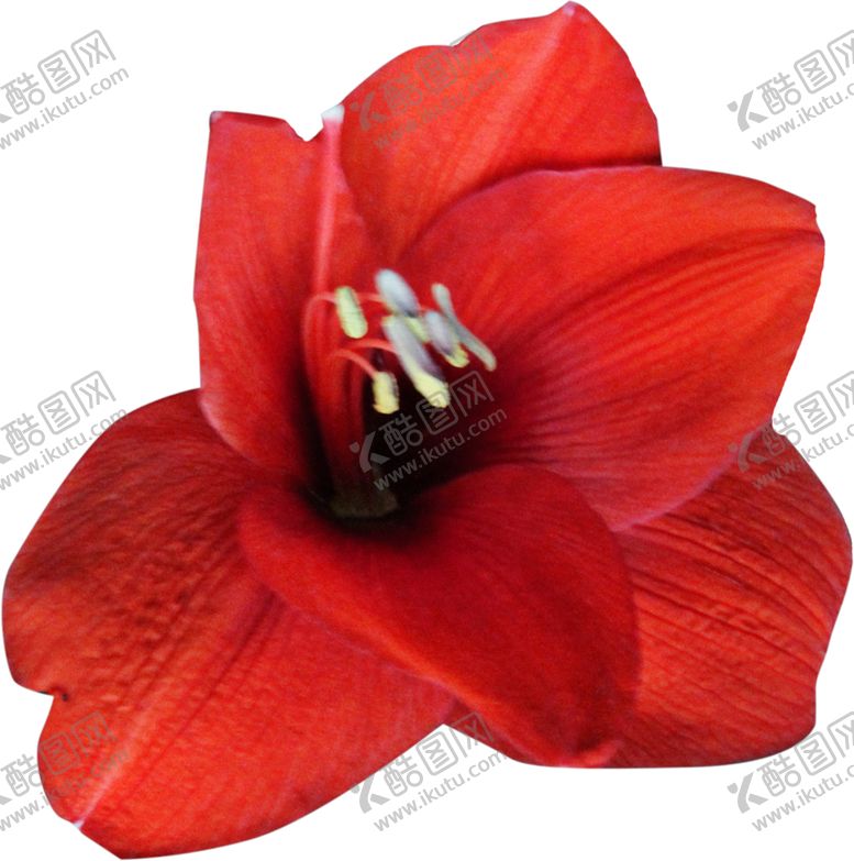 编号：49116809260109519155【酷图网】源文件下载-布艺花朵装饰