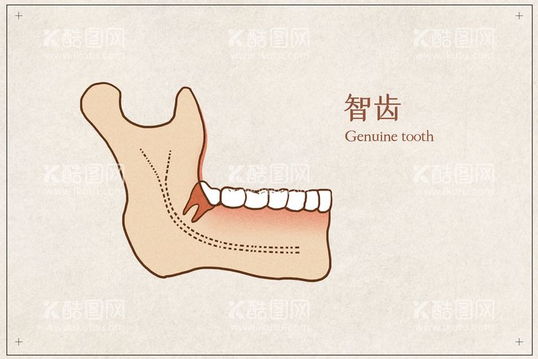 编号：38689311150039179136【酷图网】源文件下载-智齿