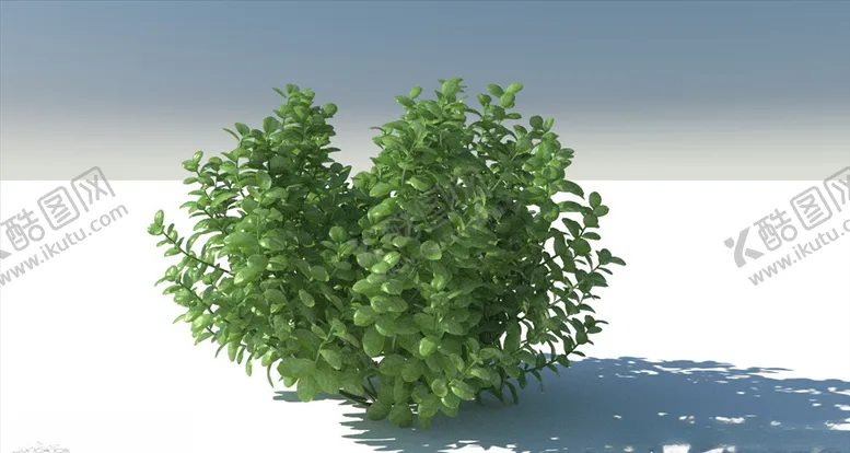 编号：25615603222013152281【酷图网】源文件下载-C4D模型扶芳藤