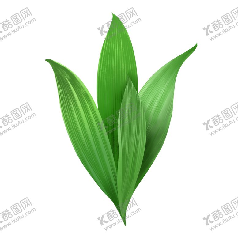 编号：99768106161304415331【酷图网】源文件下载-花草