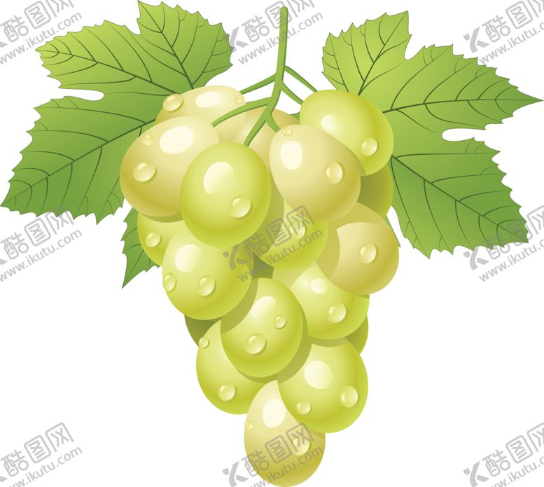 编号：93344909291211065879【酷图网】源文件下载-葡萄