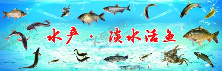 编号：54597402211406484536【酷图网】源文件下载-水产招牌