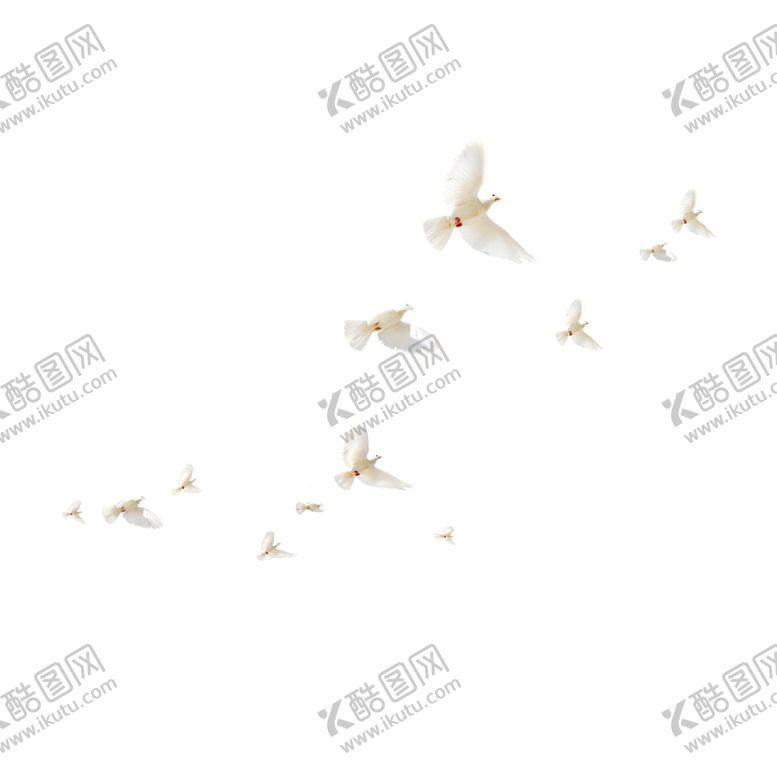 编号：59606807072056598733【酷图网】源文件下载-鸟免抠元素