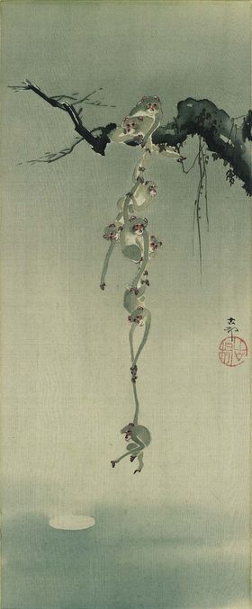 水果捞月