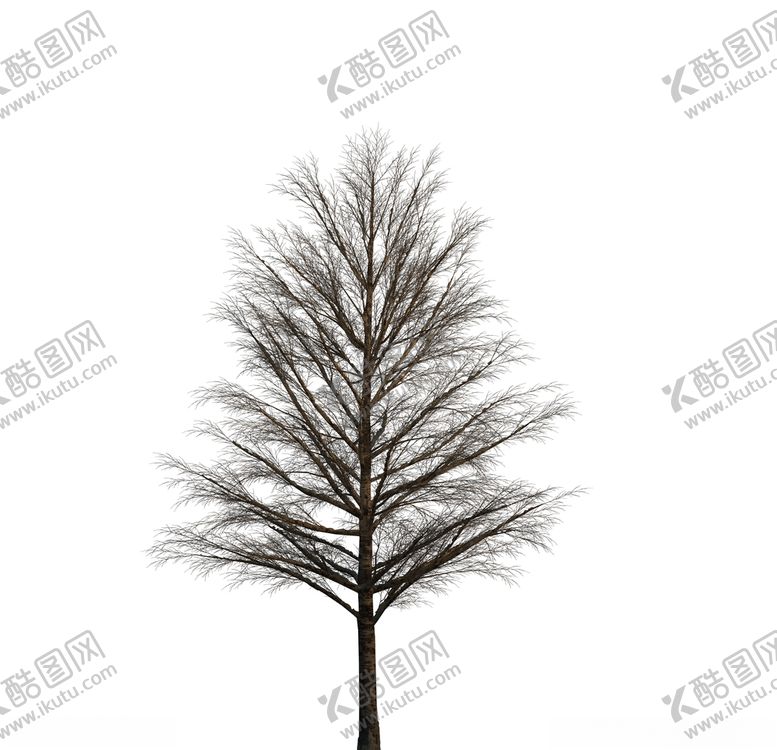 编号：18519309092033513152【酷图网】源文件下载-树木