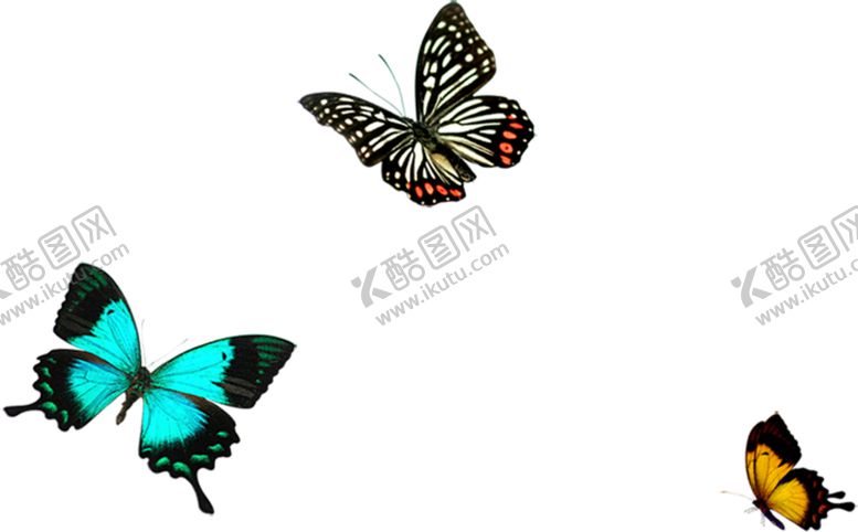 编号：90615310260927363114【酷图网】源文件下载-蝴蝶