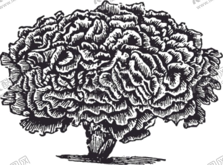 编号：76259810030504412204【酷图网】源文件下载-素描手绘蔬菜