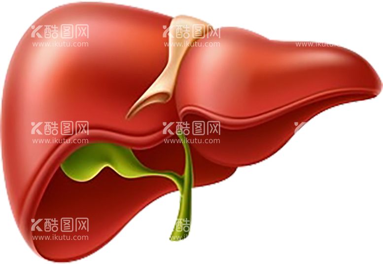 编号：68951212250054595978【酷图网】源文件下载-3D肝胆