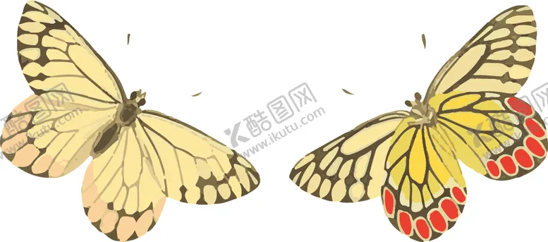 编号：81001206271600236137【酷图网】源文件下载-蝴蝶昆虫插画