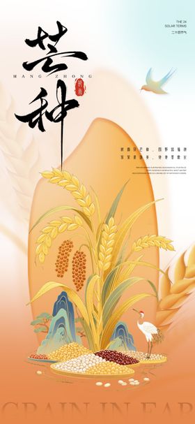 芒种简约节气海报