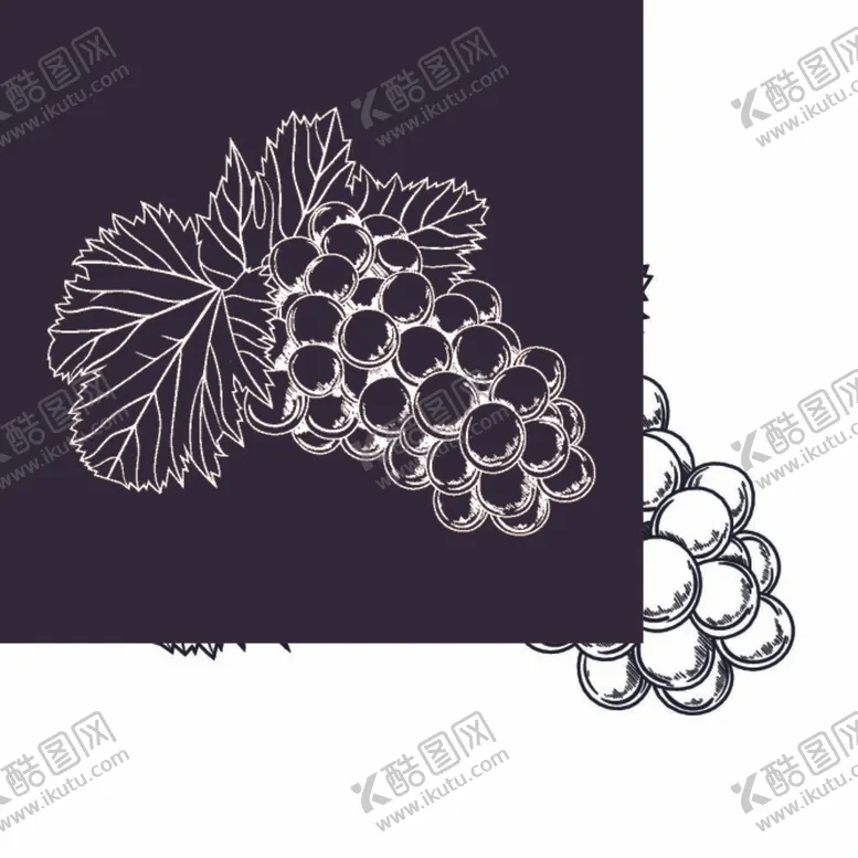 编号：25015012042250045831【酷图网】源文件下载-手绘葡萄填色卡