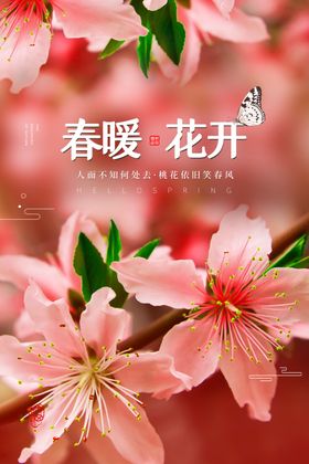 超市购物日常活动宣传海报素材