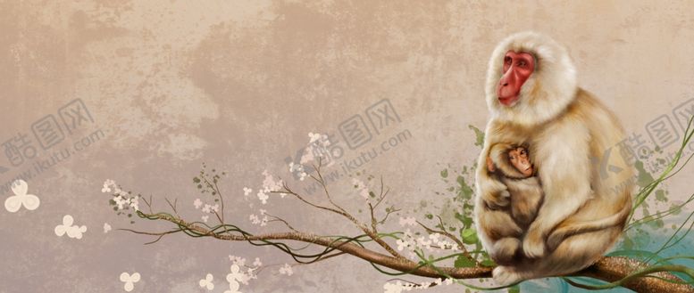 编号：93580510240103043682【酷图网】源文件下载-猴子