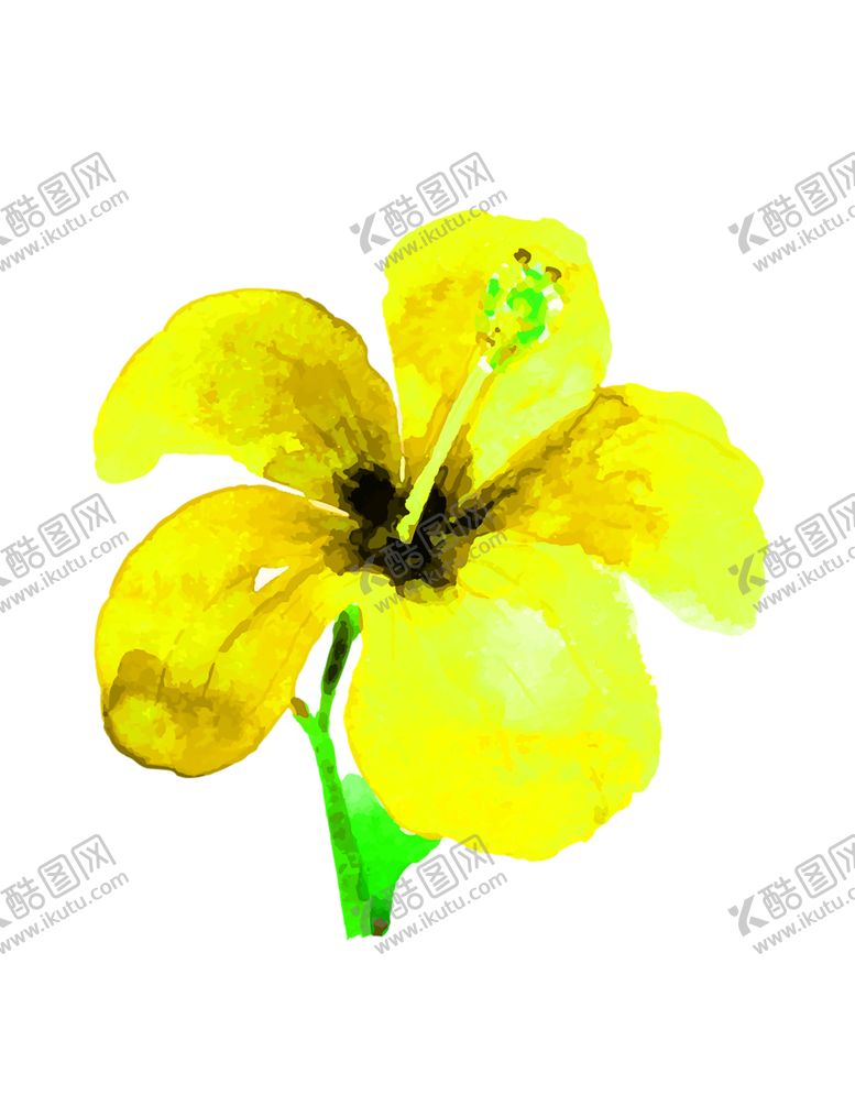 编号：37705510280919451834【酷图网】源文件下载-花素材