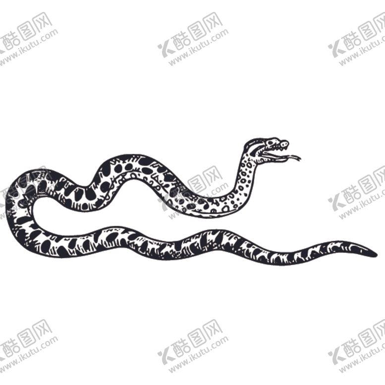编号：59439610100627337967【酷图网】源文件下载-爬行动物线稿绘画图案