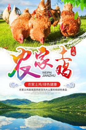 绿色天然农家土鸡促销海报