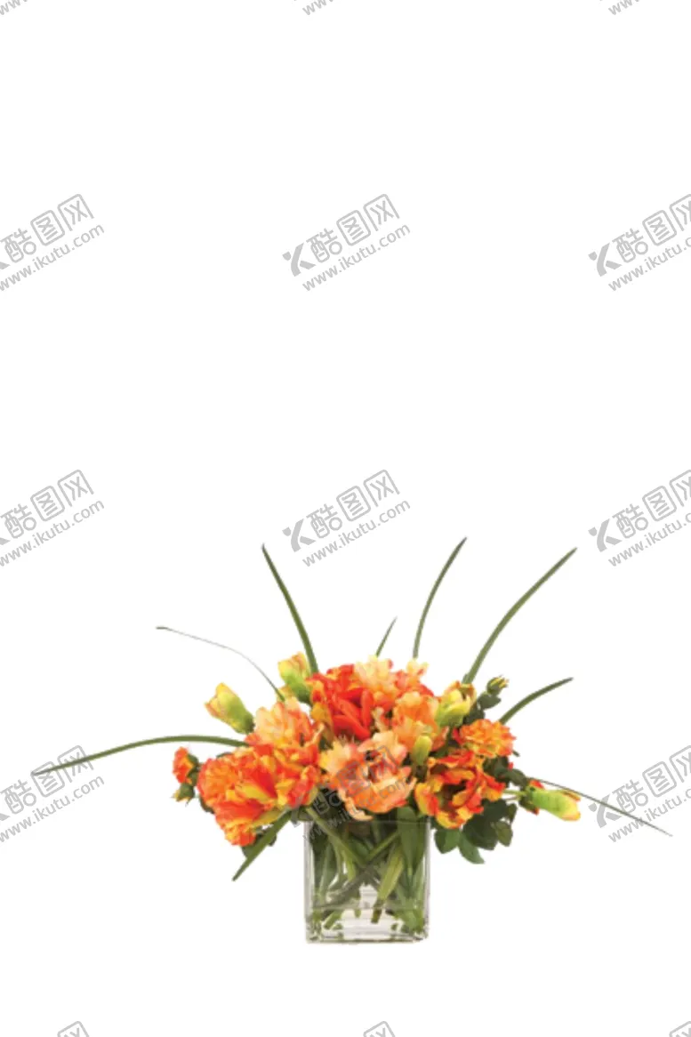 编号：79186306302222584128【酷图网】源文件下载-免抠背景花草树木