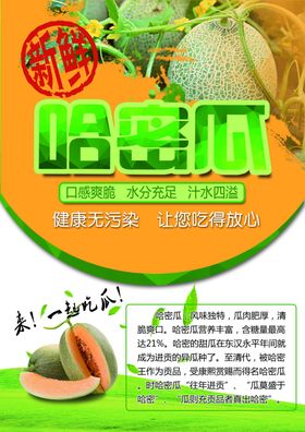 哈密瓜